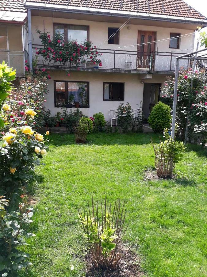 Apartment Dejan Cetinje Ngoại thất bức ảnh